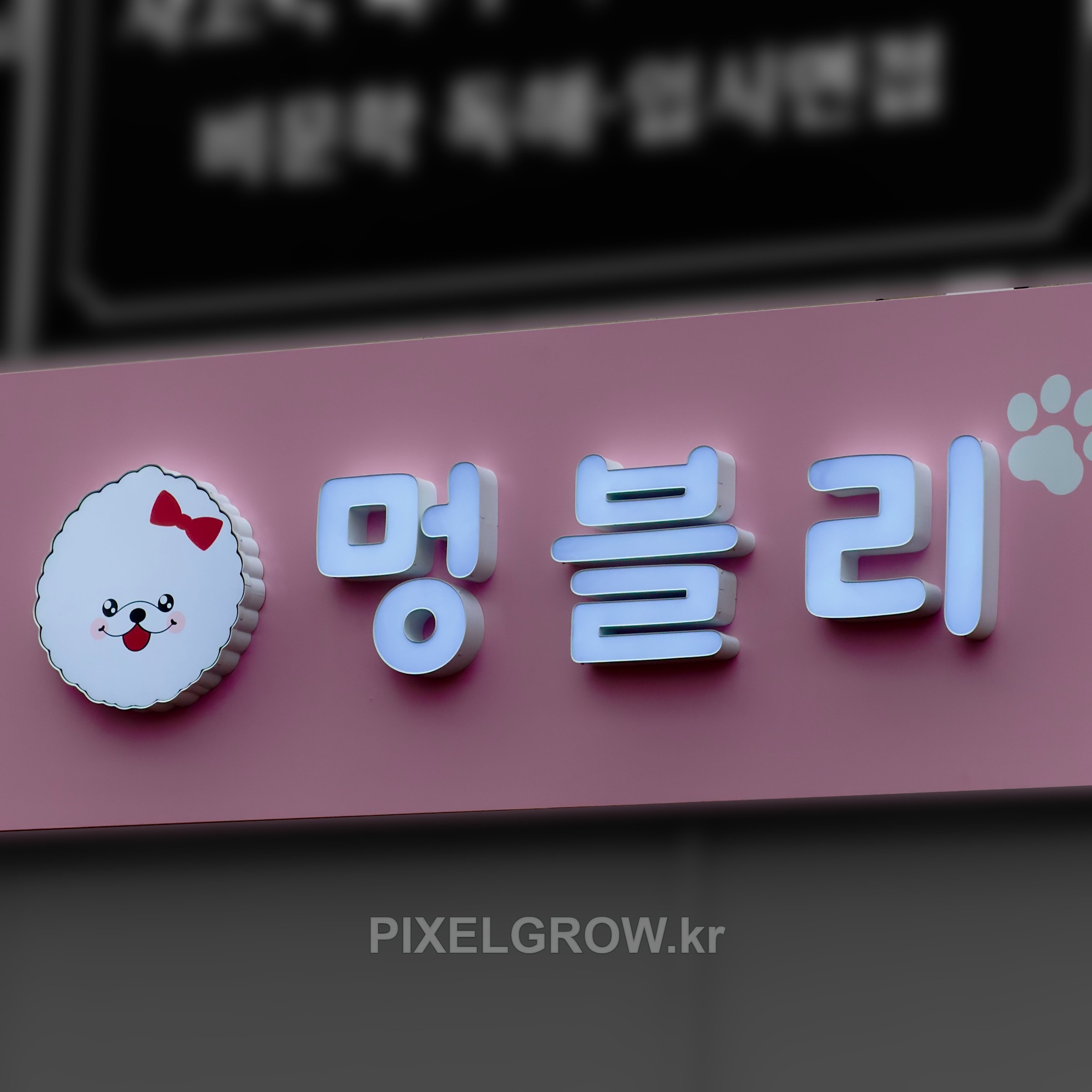 #애견샵간판/갈바프레임/채널간판_멍블리 시공 사진 4