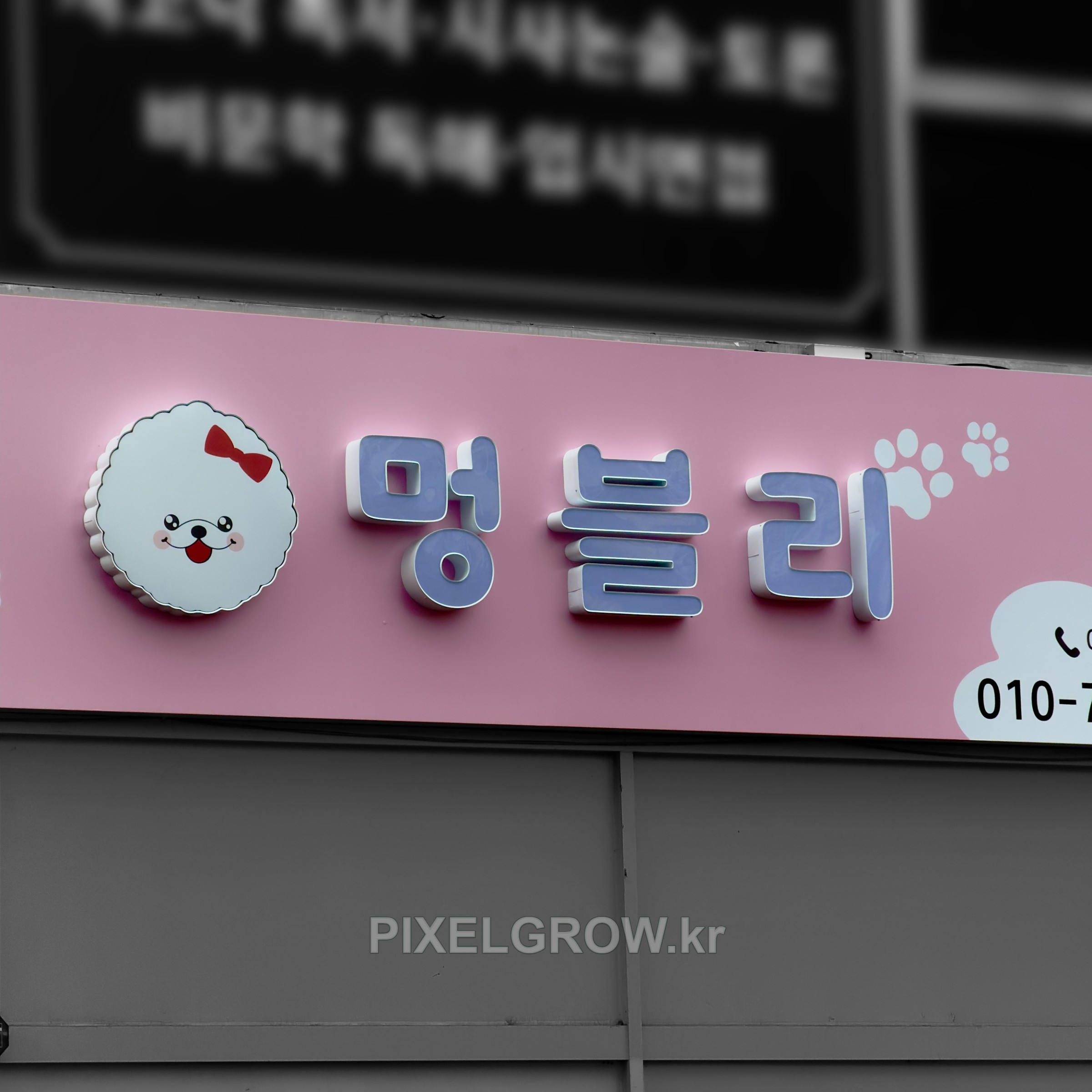 #애견샵간판/갈바프레임/채널간판_멍블리 시공 사진 2