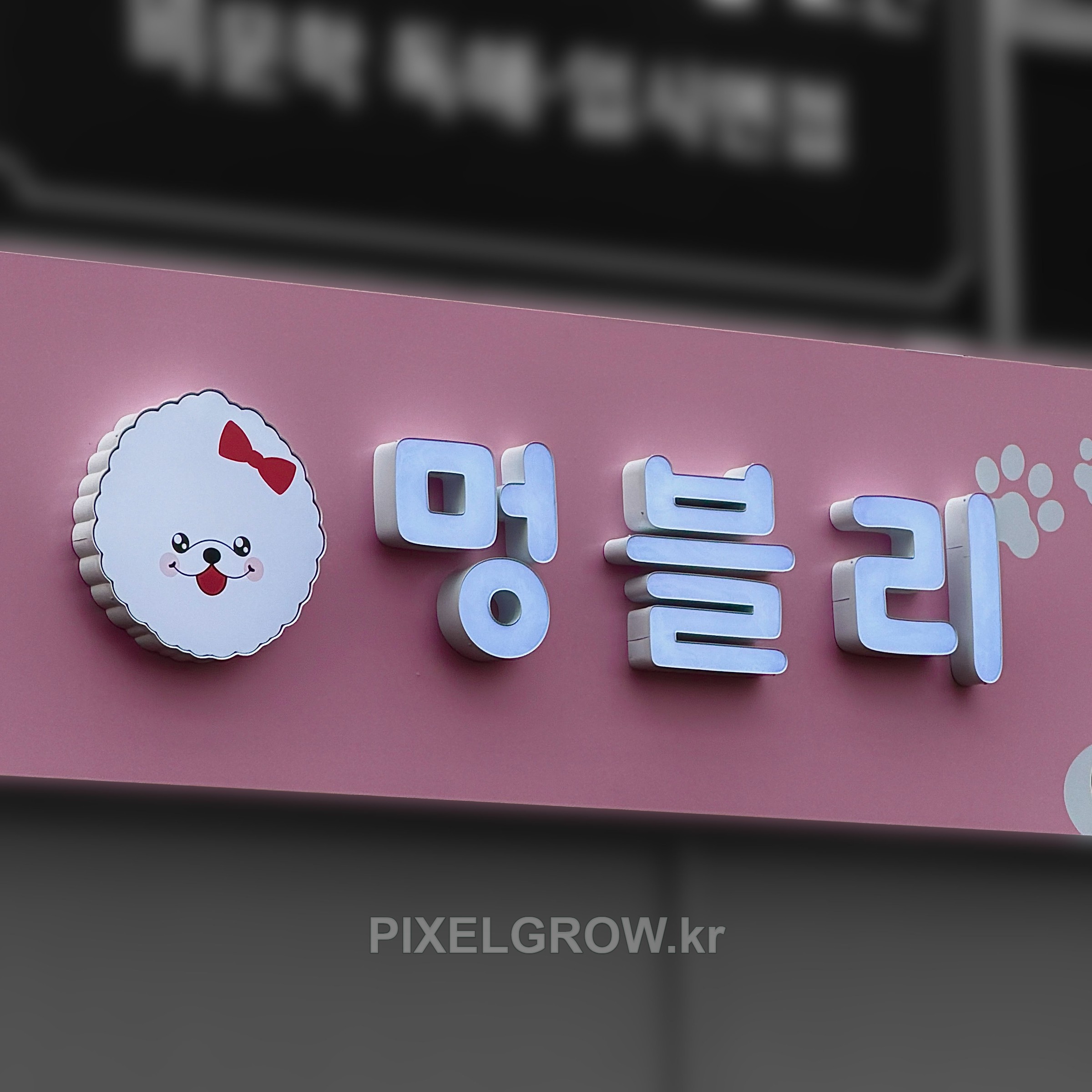 #애견샵간판/갈바프레임/채널간판_멍블리 시공 사진 5