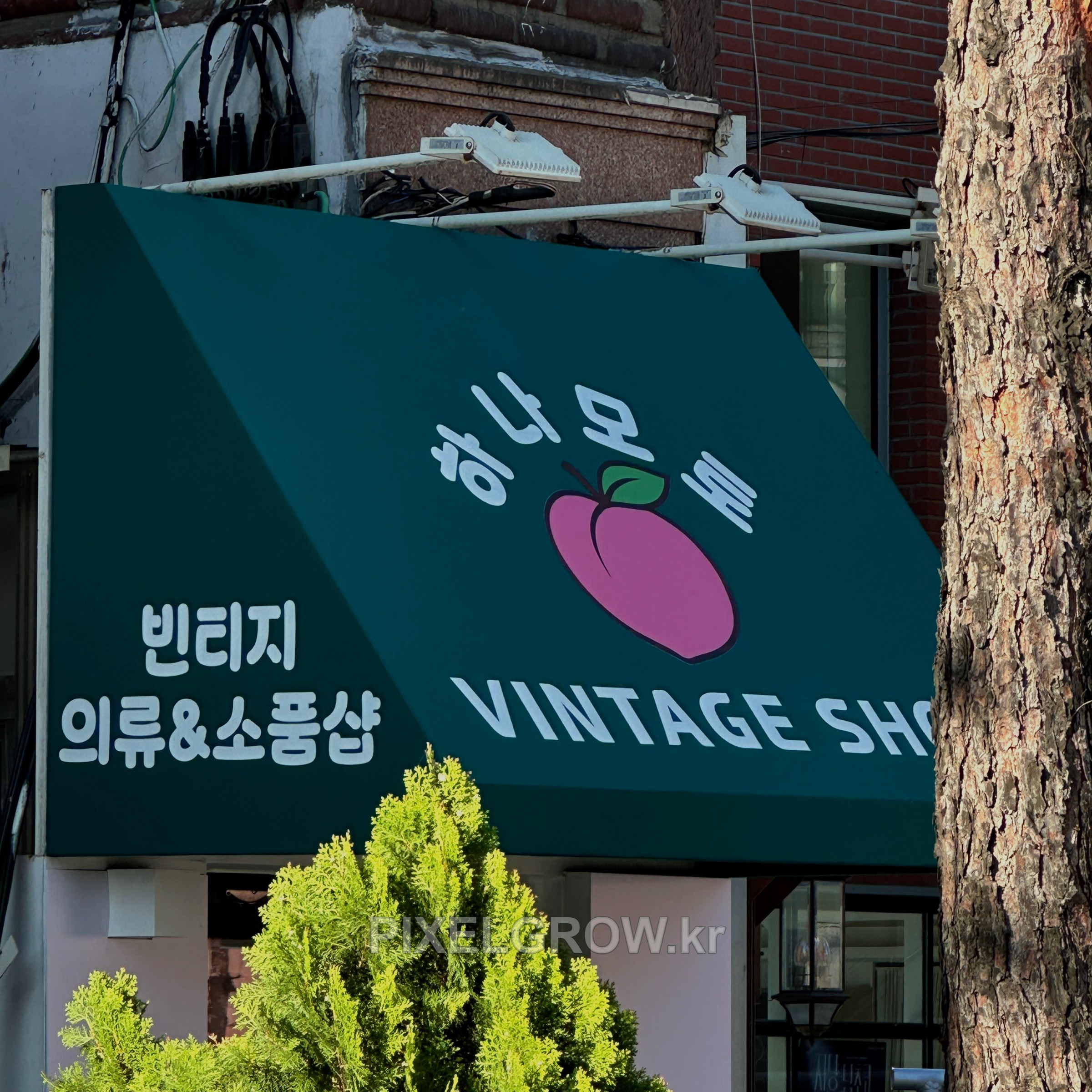 #매장간판/고정식어닝간판_하나모토 시공 사진 4