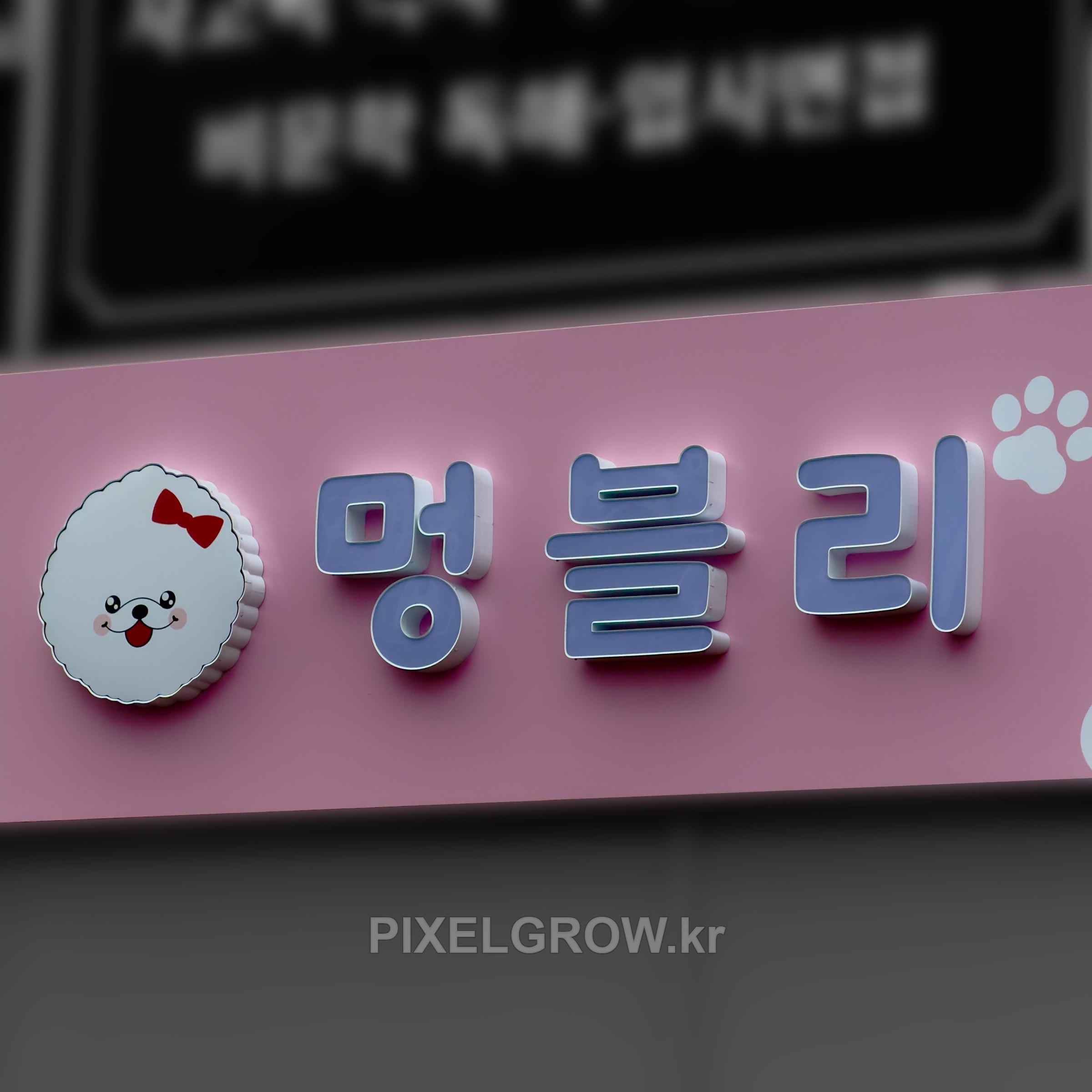 #애견샵간판/갈바프레임/채널간판_멍블리 시공 사진 3